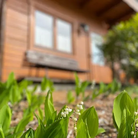 Forsthaus Langenberg Hotel Heringsdorf (Usedom)