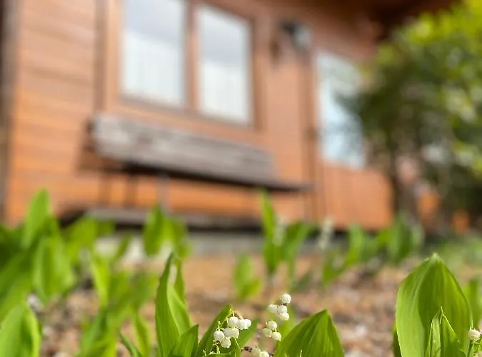 Forsthaus Langenberg Hotel Heringsdorf (Usedom)
